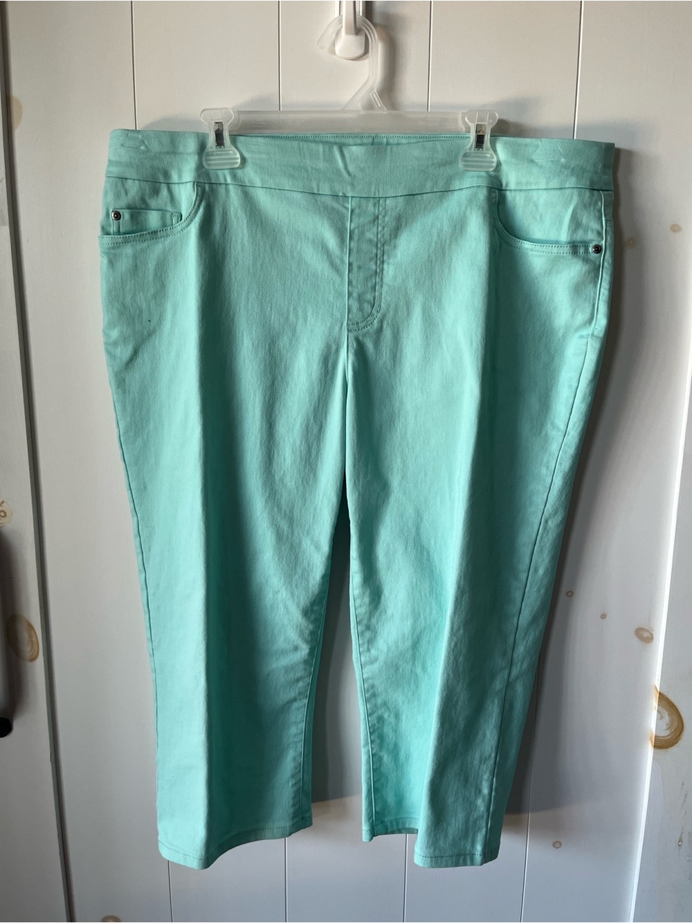 Northern Reflections Mint Green Capris